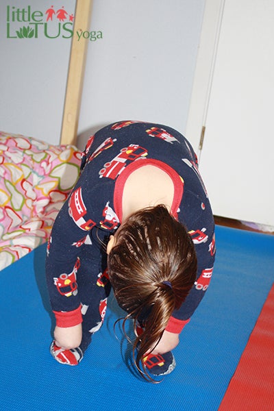 <p>Standing Forward Bend</p>