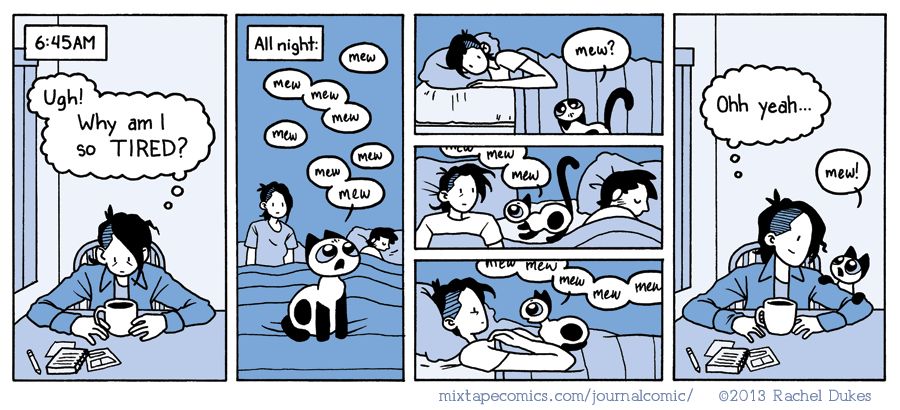 5 Comics That Perfectly Sum Up Life With A Cat | HuffPost