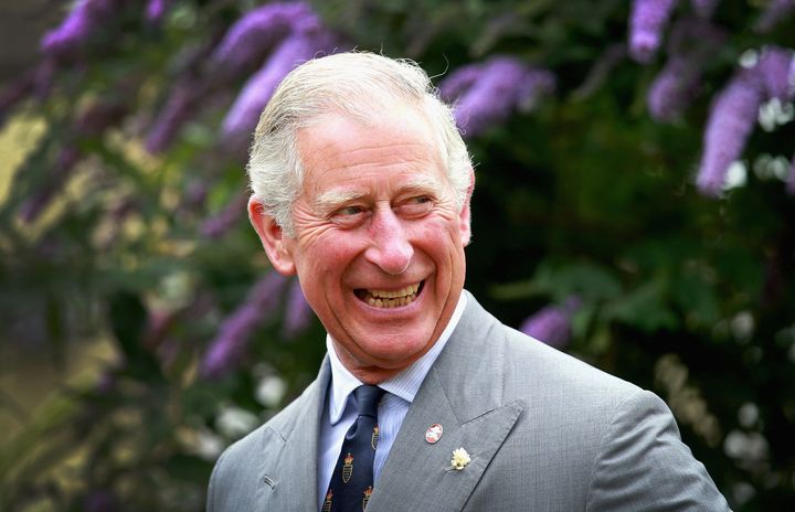 Prince Charles has written a Ladybird book on climate change