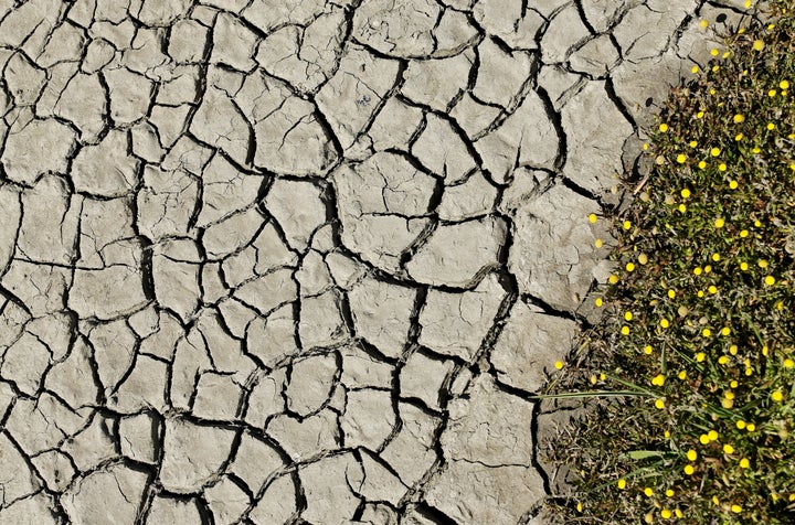 Mud cracks along a dried riverbed are pictured near San Ysidro, California March 31, 2016.