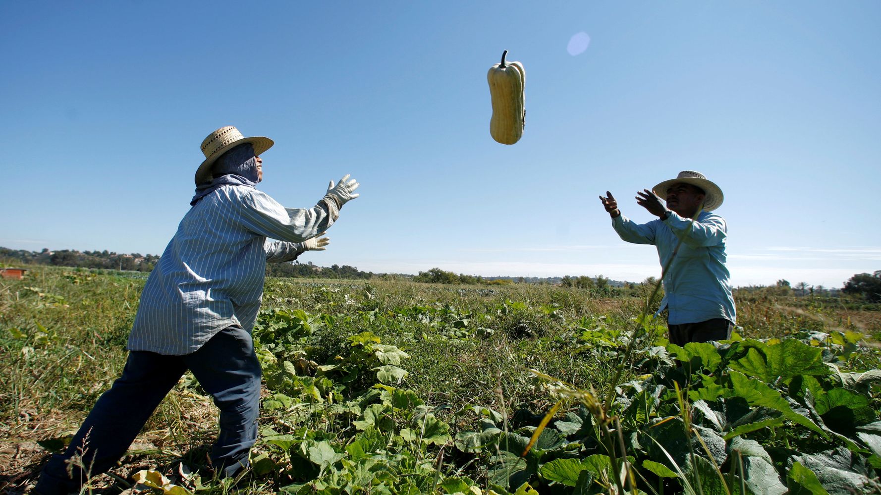 UN Report Says Small-Scale Organic Farming Only Way To Feed The