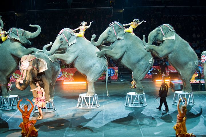 Ringling Brothers Circus has announced that it will be closing, citing a decline in ticket sales.