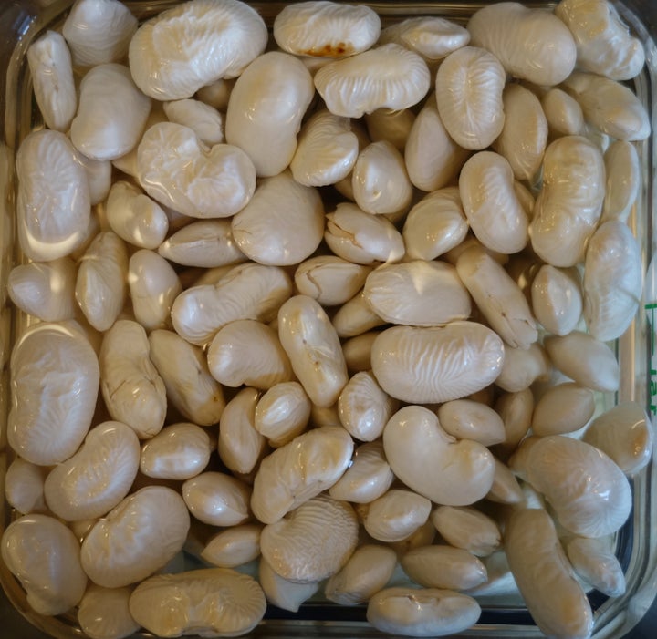 <p>Enormous beans from Spain: Judiones</p>