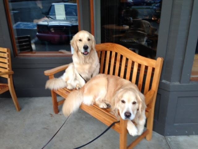 Finn (right) with his son Leo. This may be the only photo ever taken of Finn lying down.