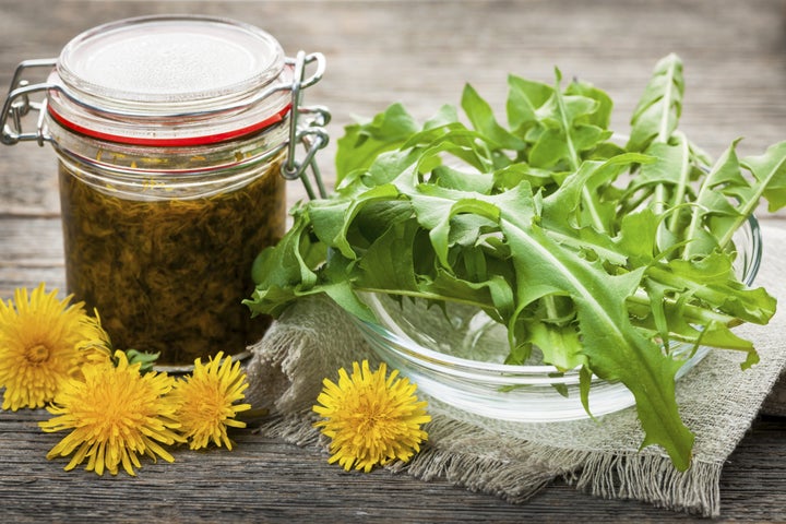 This is what dandelion greens look like.