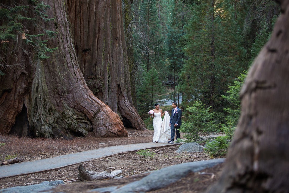 26 National Park Wedding Pics That Are Truly A Breath Of Fresh Air Sequoia National Park