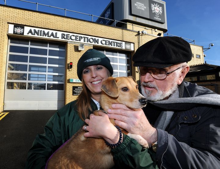 HSI Director Claire Bass and actor Peter Egan with Brent rescued by HSI from South Korean dog meat farm.