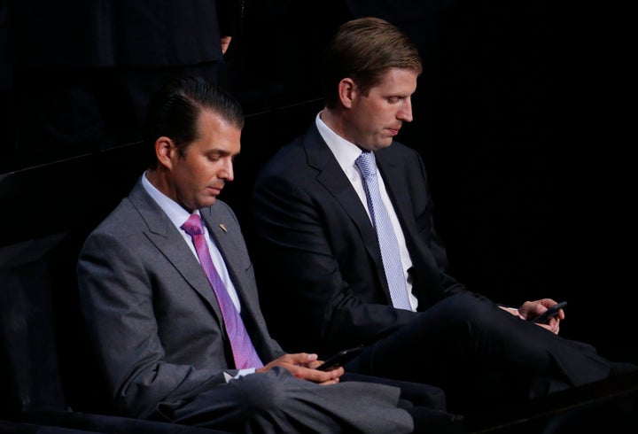 Donald Trump Jr. and his brother Eric at the Republican National Convention in July.