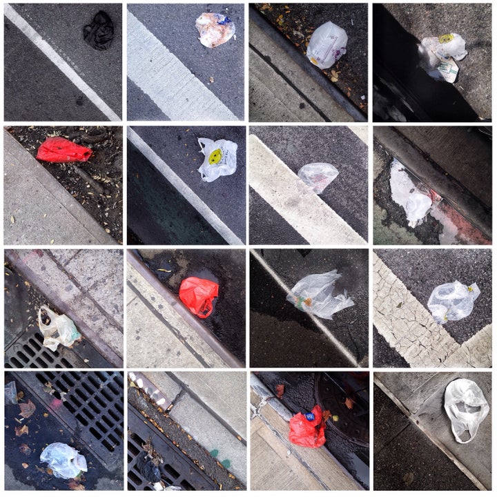 Photographs of plastic carryout bags littering curbsides in Harlem (part 6). 