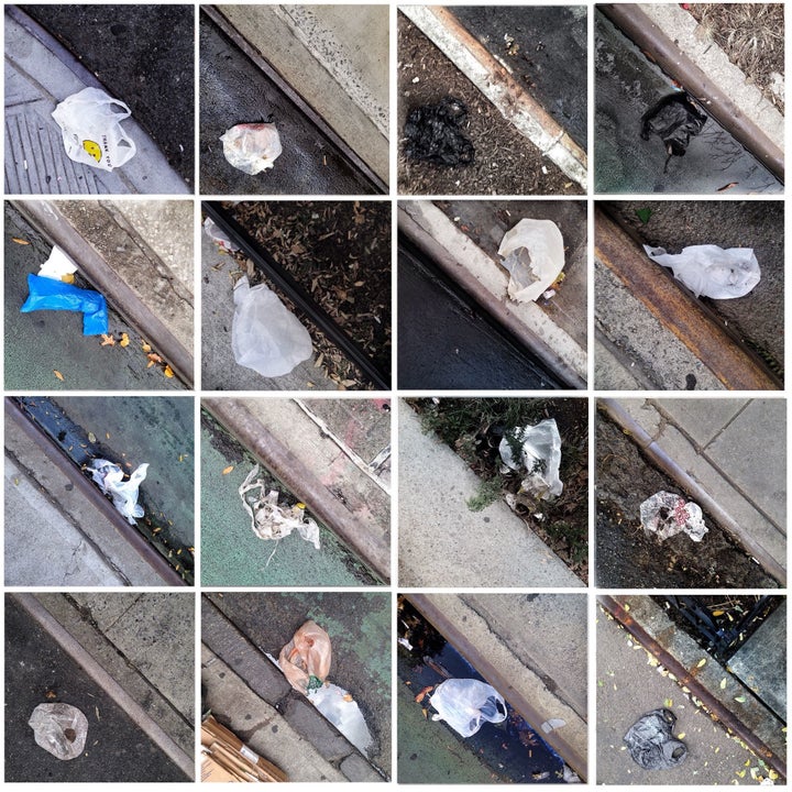 Photographs of plastic carryout bags littering curbsides in Harlem (part 7). 