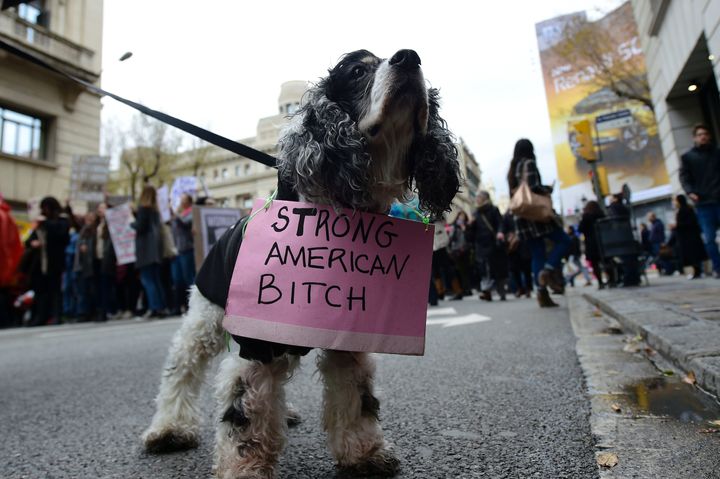 A dog attending a march in Barcelona, held in solidarity of the Women's March on Washington.
