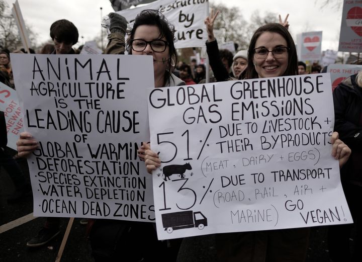 Two women protest at the London climate march. Photo by Alisdare Hickson via Flickr/cc.