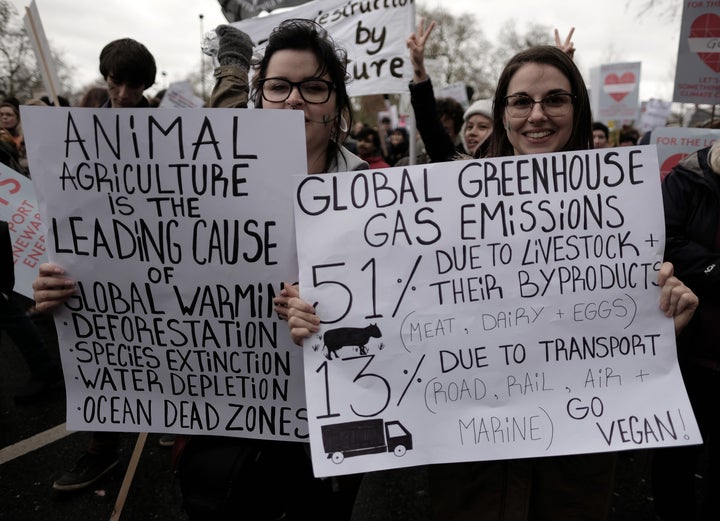 Two women protest at the London climate march. <a rel="nofollow" href="https://www.flickr.com/photos/alisdare/23126879740/in/