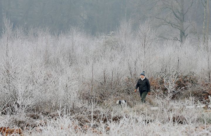 A lady walks her dog during a frosty start to the day in Hothfield, Kent, as the wintry weather continues, according to forecasters.