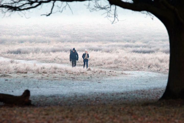 Walkers in Richmond Park, south west London.