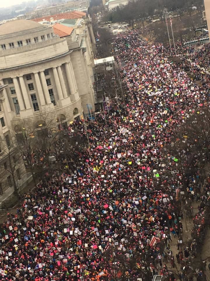 Bird’s Eye view of the Women’s March on Washington