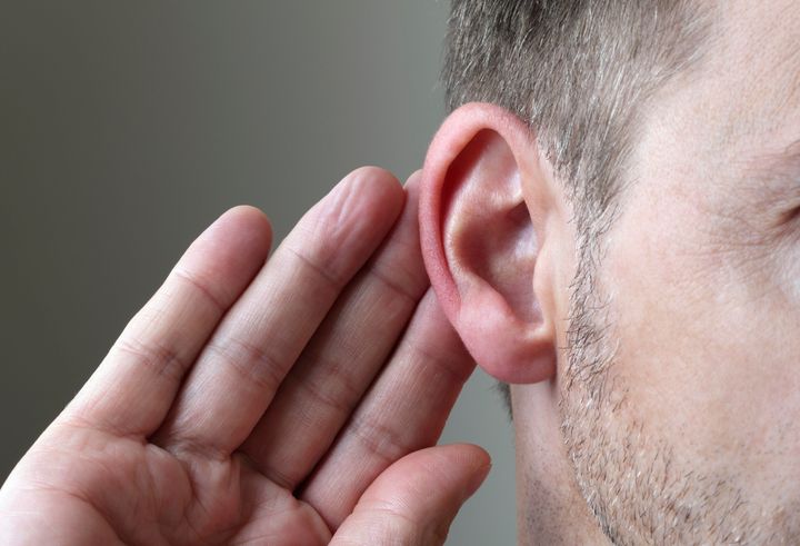 A "significant portion" of a Pittsburgh man's right ear was bitten off during an argument over Trump Monday morning, police said.