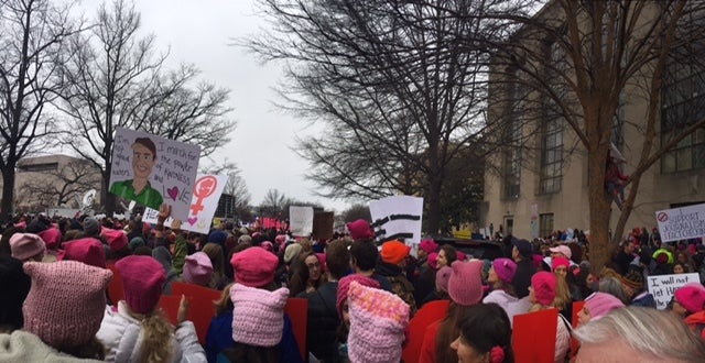 Women’s March on Washington, Washington, D.C.