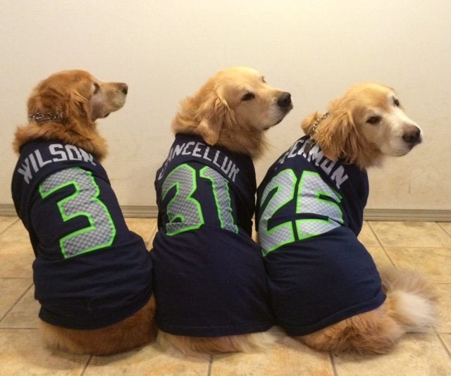Finn (far right) -- inspired by the author -- was an avid Seattle Seahawks fan.