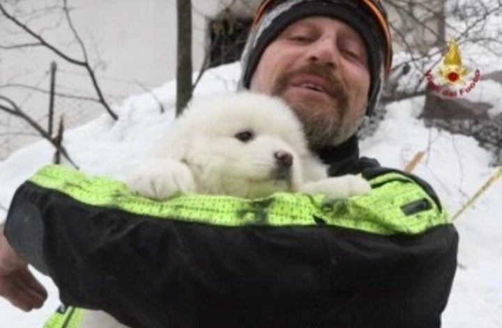 One of three puppies that were pulled from the ruins of an Italian hotel on Monday is seen in the arms of a rescuer.&nbs