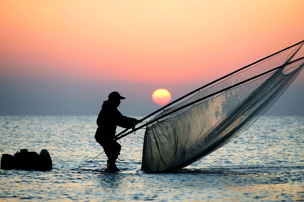 A fisherman on stilts nets shrimp in Rizhao. Oct. 13, 2015.