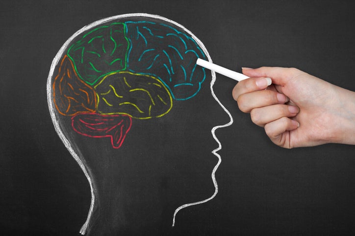 The Science of How Memory Works