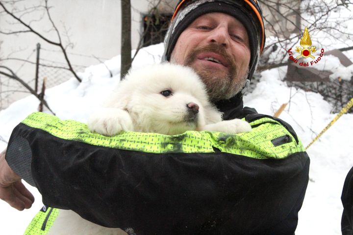 A firefighter holds one of the three puppies found alive in the rubble of the Hotel Rigopiano after the avalanche 