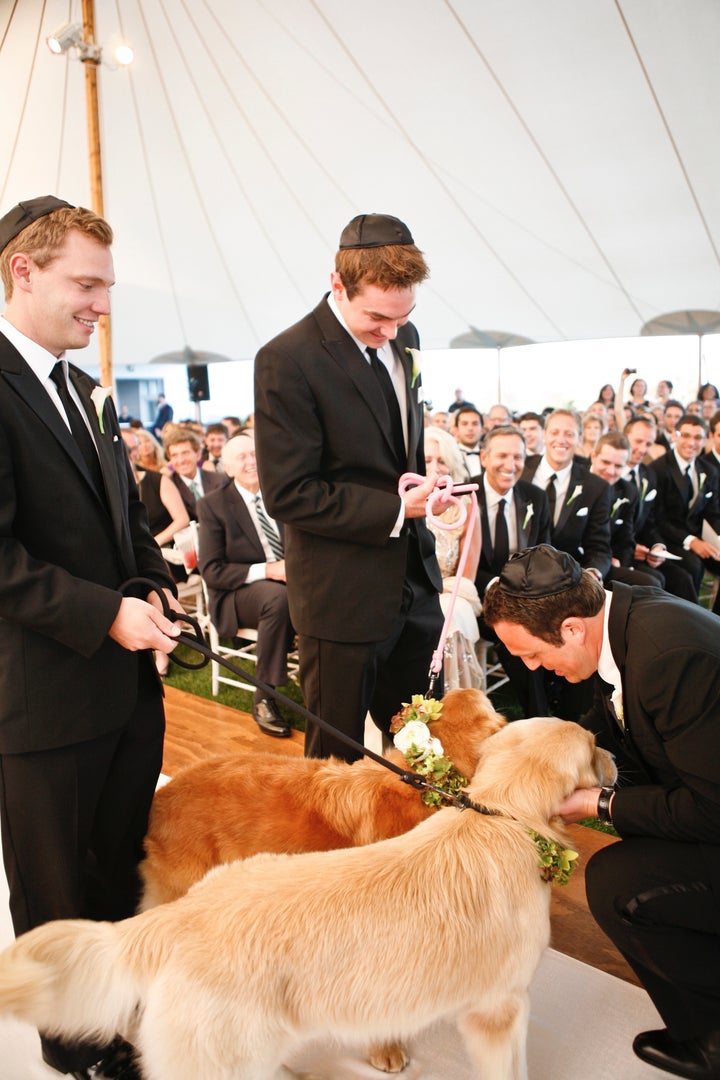 Finn (right) had the honorable role of ring bearer in the author's wedding, a role in which he excelled.