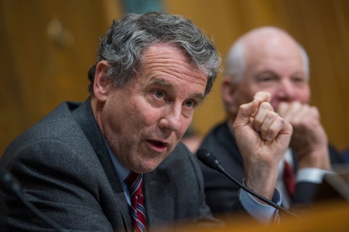 Sen. Sherrod Brown (D-Ohio) voted to advance Ben Carson's nomination as housing secretary, a decision that caught some off guard as Carson has no experience in housing policy or in running a federal agency.