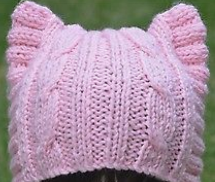<p>Pussy Hat </p>