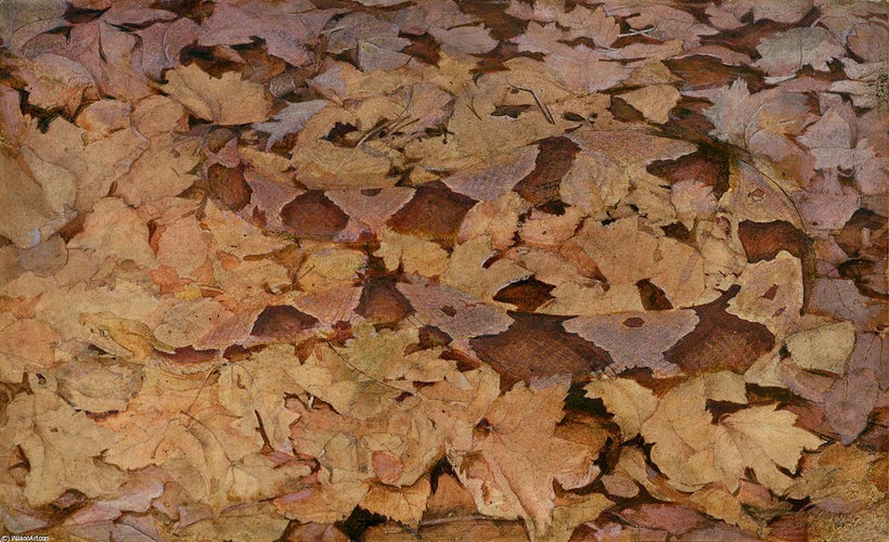 Copperhead Snake on Dead Leaves, watercolor by Abbott Handerson Thayer (1849-1921).
