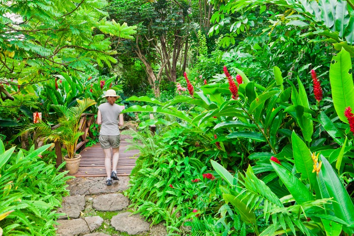 A picture of the Andromeda Botanic Gardens. 