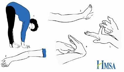 Joint hypermobility is one of the major signs of most types of EDS. This diagram shows the motions of the Beighton Test, which measures hypermobility in the knees, thumbs, little fingers, elbows, and back. 