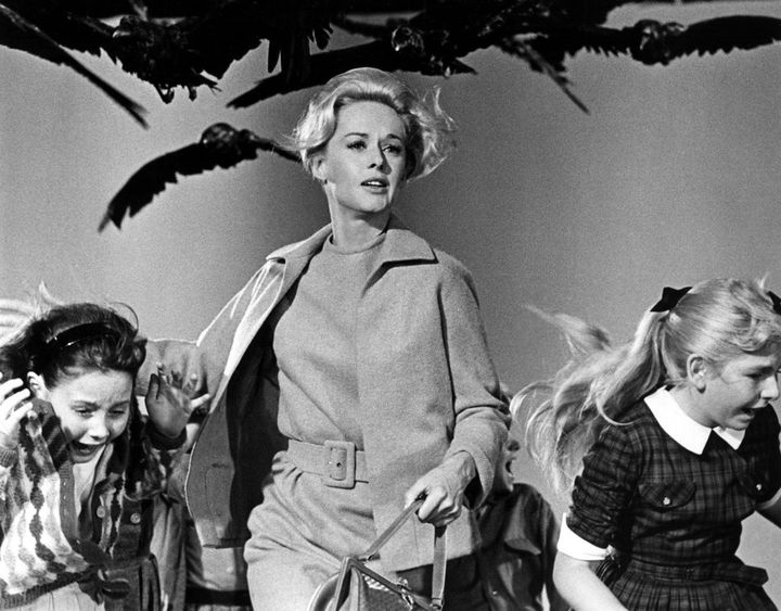 Alfred Hitchcock's film The Birds featured a town invaded by a menacing flock of birds 