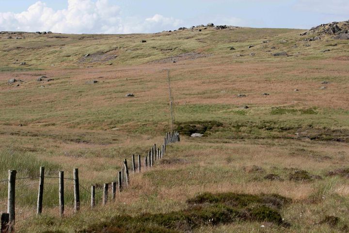 David Lytton's body was found on Saddleworth Moor