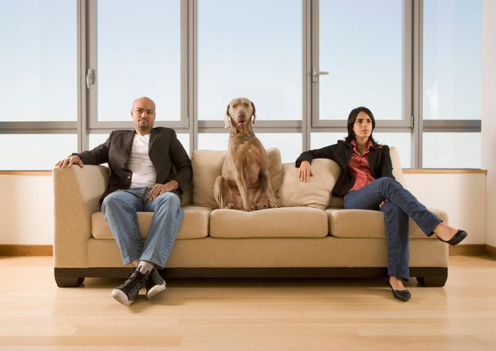 Though pets are generally considered property under divorce laws, most people do not see their pets as the same as furniture.