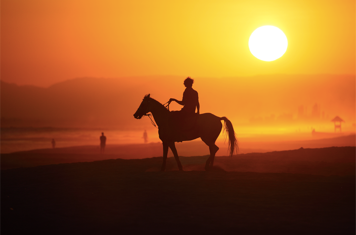 Location: Salalah, Oman.