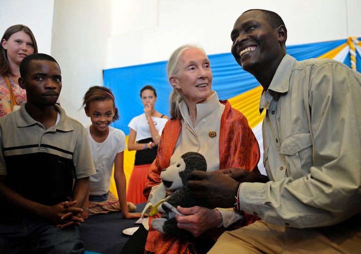 Dr. Jane Goodall, famed primatologist, said she realized conservationists needed the support and input of local communities in Gombe National Park to really make an impact protecting chimpanzees. "Unless we improve the lives of the people, we can't even start to try to save the chimpanzees," she said in a NASA video this week.