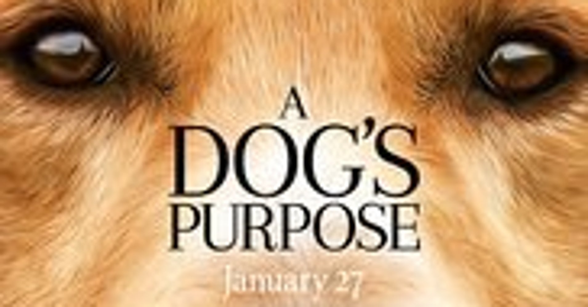 A Dog’s Purpose will make you laugh, cry and question the true purpose