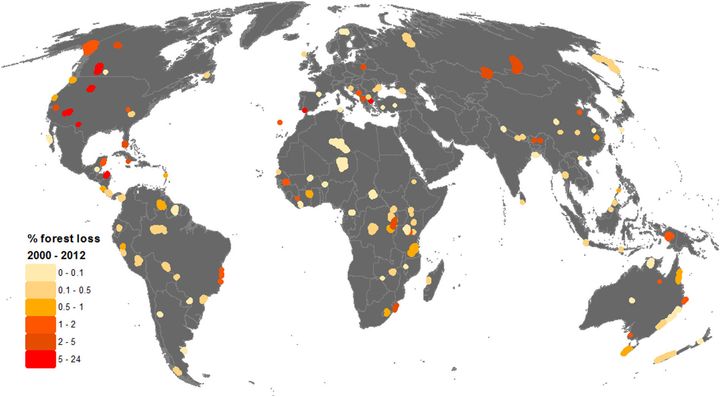 Areas shown in yellow, orange and red show the amount of forest lost in natural World Heritage Sites around the globe.