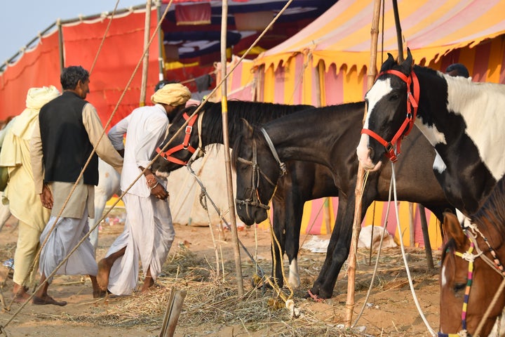 Seller grabs his buyer by the hand to pull him into the tent where negotiations can happen away from prying eyes  L����E�