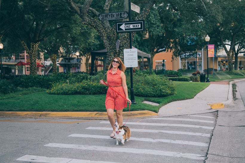 <a rel="nofollow" href="https://www.thetravelpockets.com/new-blog/2016/fun-things-to-do-in-tampa-florida" target="_blank">SHO