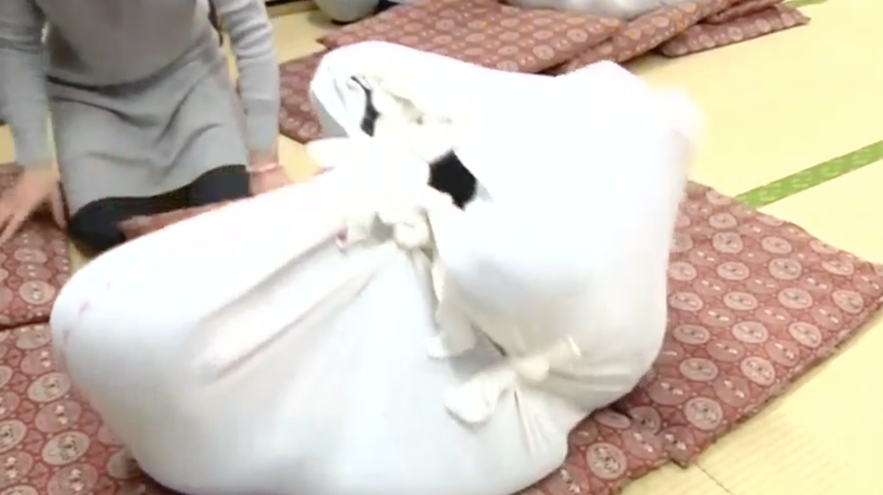 Adult Swaddling Is Tokyo's Top New Trend HuffPost null
