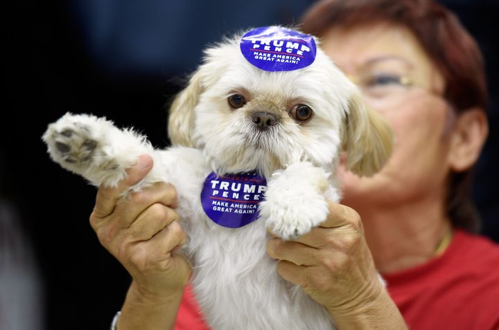 An apparently Trump-supporting pup.