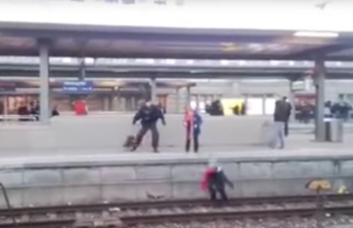The woman was knocked onto the train tracks by a clearly agitated police dog 
