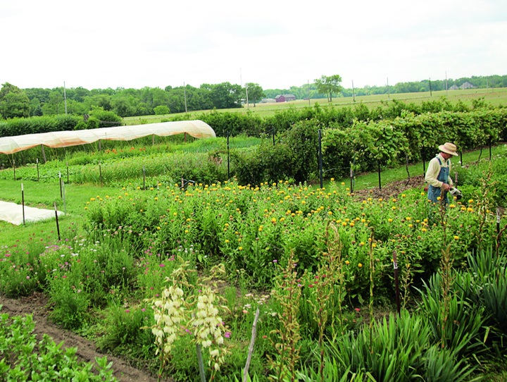 Cook's Garden in New Lebanon, Ohio, is one of the 15 small farms spotlighted in Volk's new book. Photo from Compact Farms, used with permission from Storey Publishing.