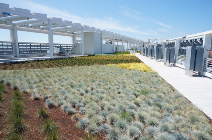 The “living roof” atop Levi Stadium