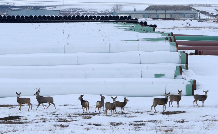 Zinke has supported the Keystone XL pipeline, which conservationists say <a href="http://news.nationalgeographic.com/news/energy/2014/02/140214-animals-and-habitats-in-keystone-xl-path/" target="_blank" role="link" class=" js-entry-link cet-external-link" data-vars-item-name="threatens habitats and native species" data-vars-item-type="text" data-vars-unit-name="5894547de4b0c1284f254fbf" data-vars-unit-type="buzz_body" data-vars-target-content-id="http://news.nationalgeographic.com/news/energy/2014/02/140214-animals-and-habitats-in-keystone-xl-path/" data-vars-target-content-type="url" data-vars-type="web_external_link" data-vars-subunit-name="article_body" data-vars-subunit-type="component" data-vars-position-in-subunit="27">threatens habitats and native species</a>.