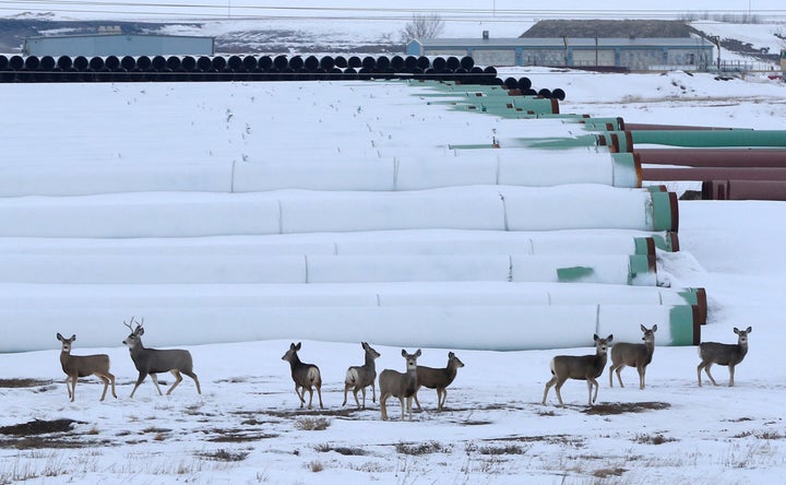 Zinke has supported the Keystone XL pipeline, which conservationists say threatens habitats and native species.