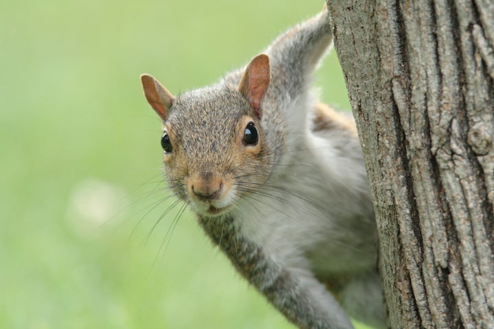 Ready for my close-up.